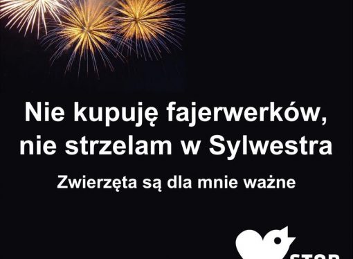 Dla tych do lubią sobie w Nowy Rok postrzelać