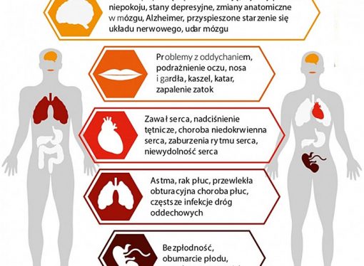 Gnuśna władza odpowiada za złą jakość powietrza