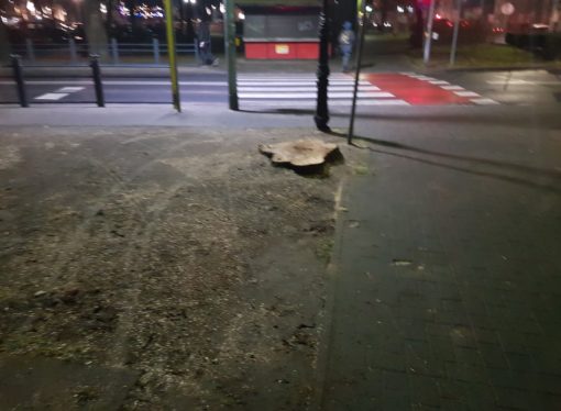 Prezes siekiera ciągle w akcji