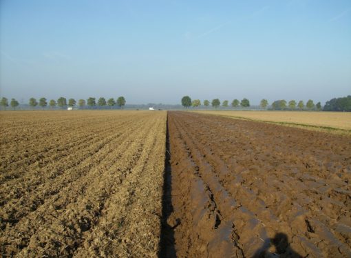 Sesyjne wystąpienie Radnego Jakuba Paducha